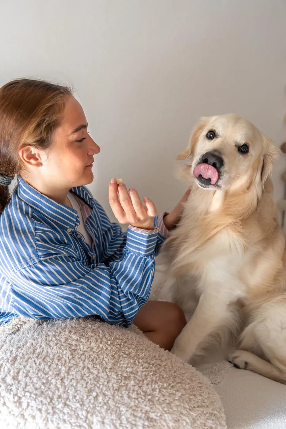O femeie și un golden retriever interacționând în timpul unei ședințe